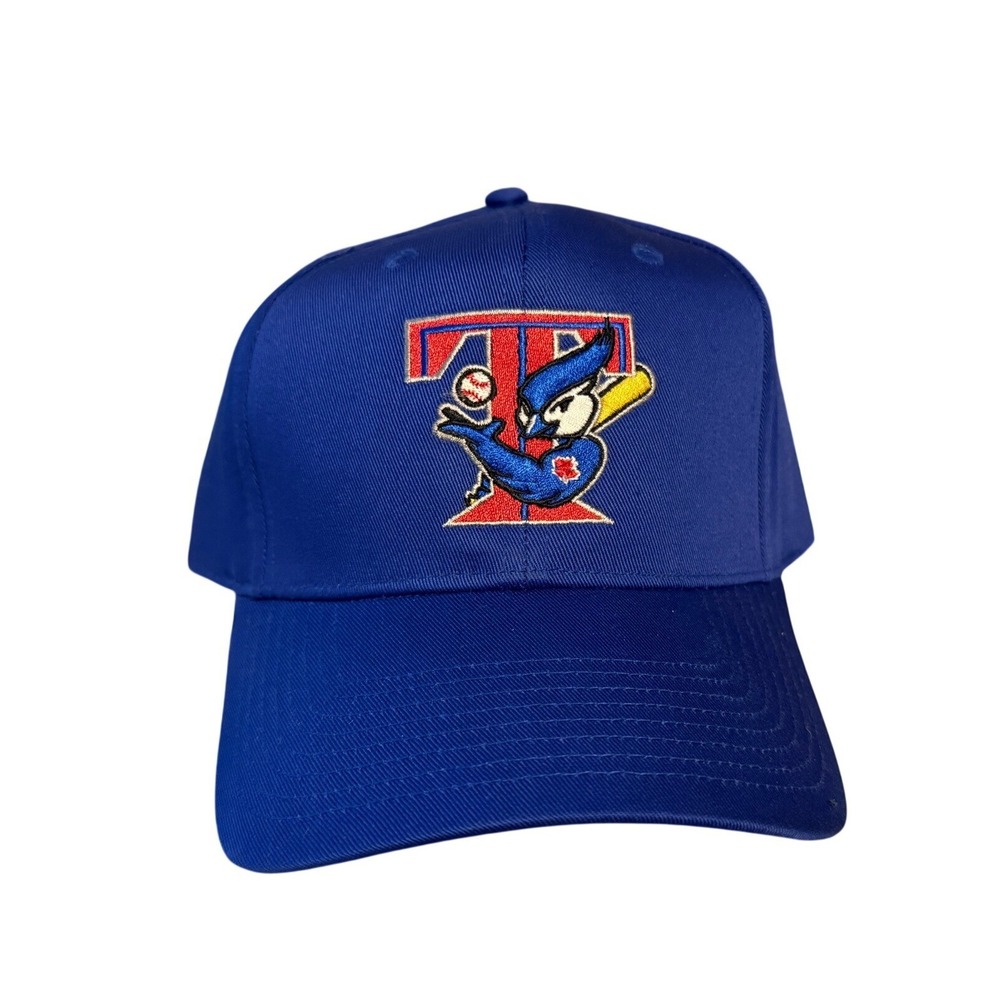 Vintage Toronto Blue Jays Hat Mens OSFM Blue Snapback MLB Outdoor Cap Outdoor